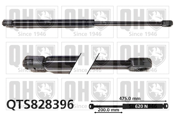 Gas Spring, boot/cargo area (QTS828396)