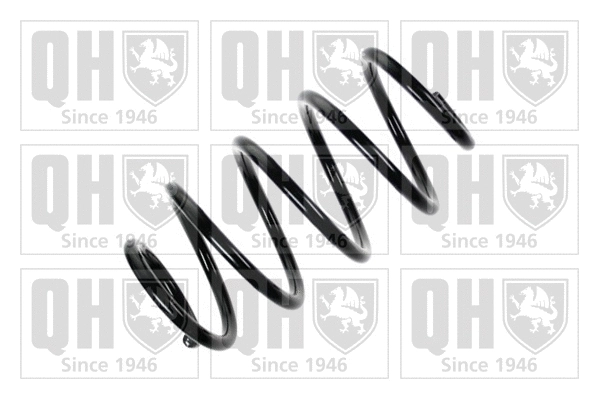 Suspension Spring (QCS6694)