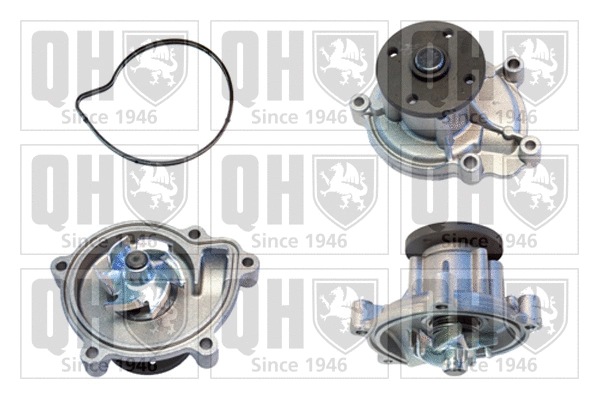 Water Pump, engine cooling (QCP3820)