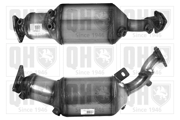 Soot/Particulate Filter, exhaust system (QDPF11054H)