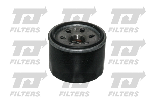Oil Filter (QFL0189)