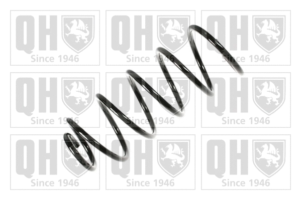 Suspension Spring (QCS6889)