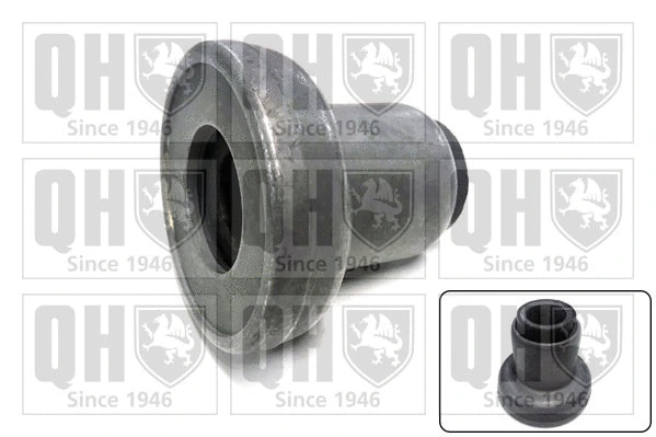 Mounting, control/trailing arm (EMS8098)