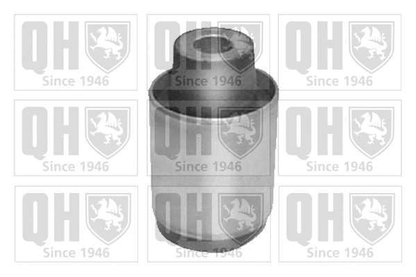 Mounting, control/trailing arm (EMS8457)