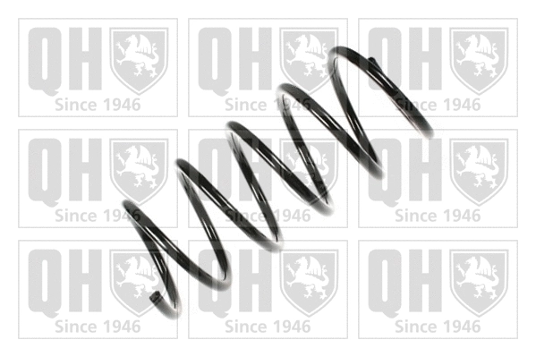 Suspension Spring (QCS7449)