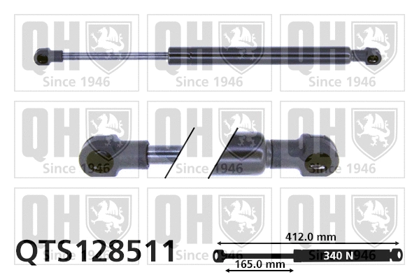 Gas Spring, boot/cargo area (QTS128511)