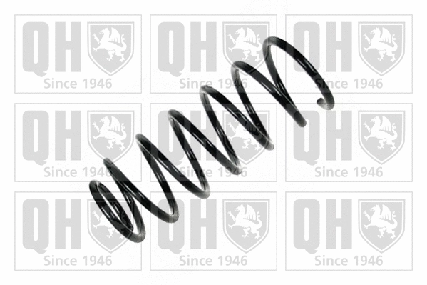 Suspension Spring (QCS6195)