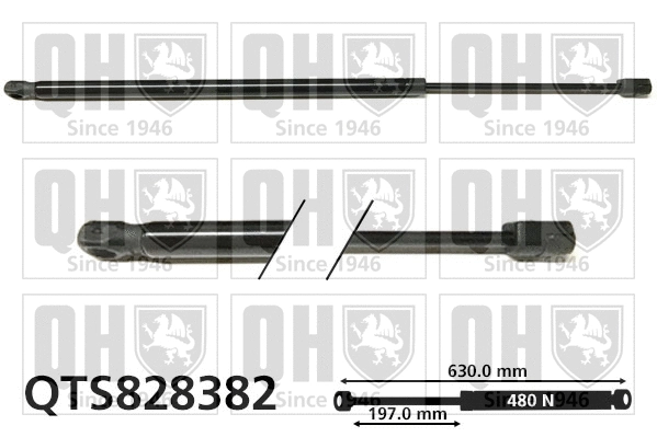 Gas Spring, boot/cargo area (QTS828382)