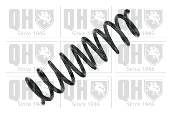 Suspension Spring (QCS8562)
