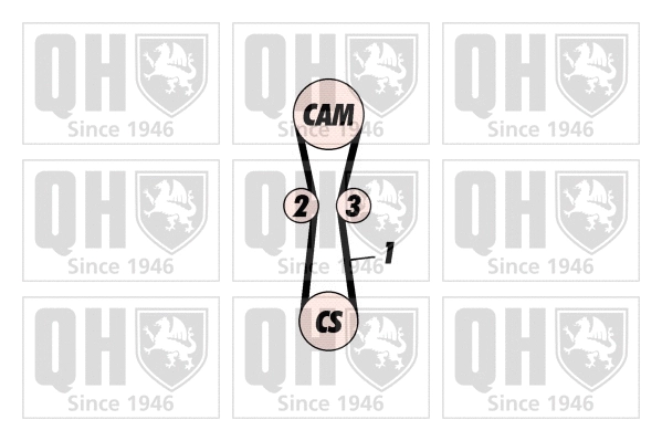 Timing Belt Kit (QBK390)