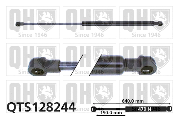 Gas Spring, boot/cargo area (QTS128244)