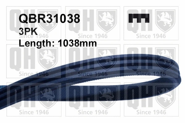 V-Ribbed Belt (QBR31038)