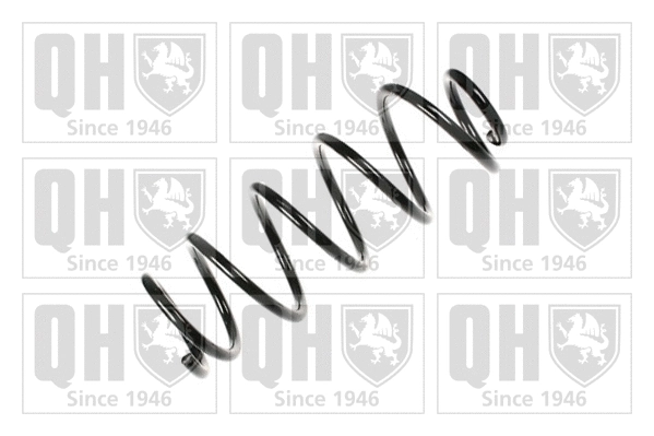 Suspension Spring (QCS6523)