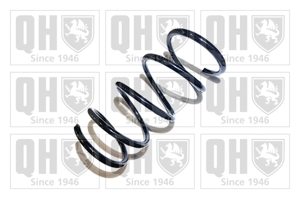 Suspension Spring (QCS6391)