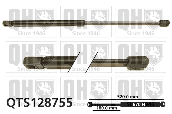 Gas Spring, boot/cargo area (QTS128755)