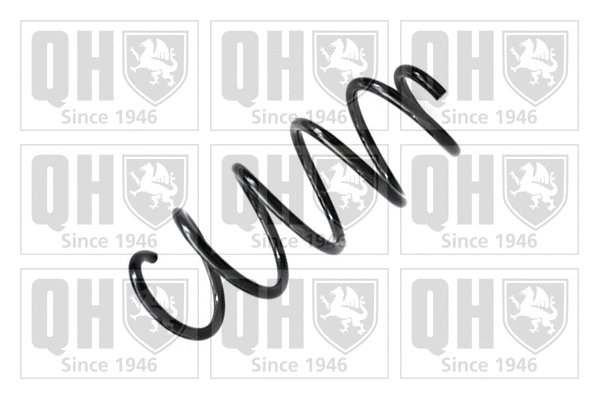 Suspension Spring (QCS7916)
