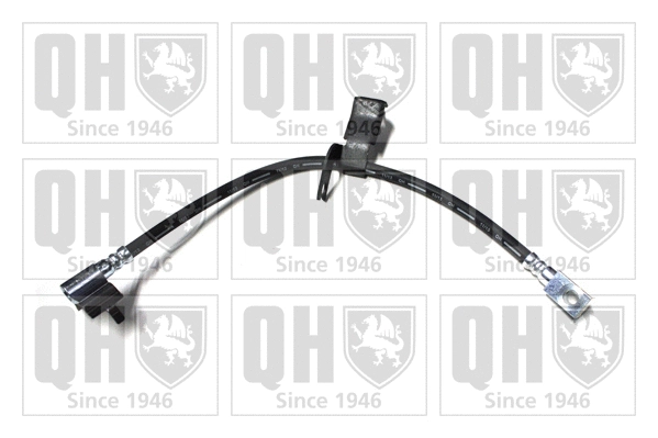 Brake Hose (BFH5560)
