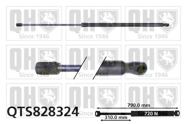 Gas Spring, boot/cargo area (QTS828324)