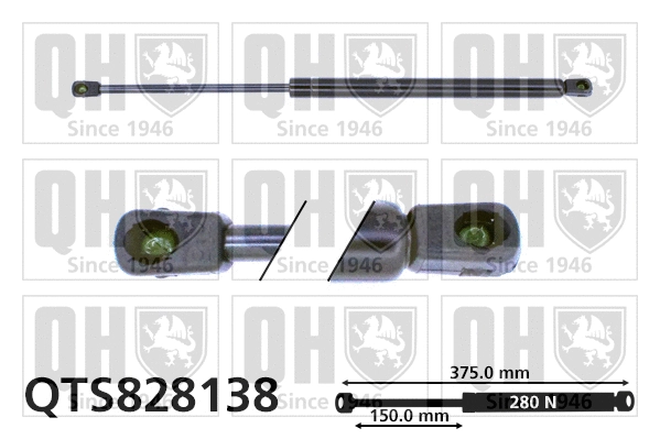 Gas Spring, bonnet (QTS828138)