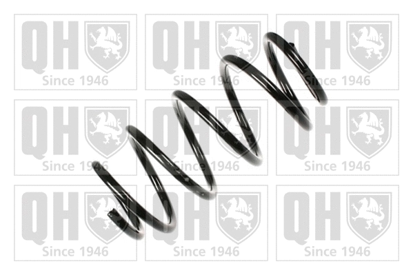 Suspension Spring (QCS5816)