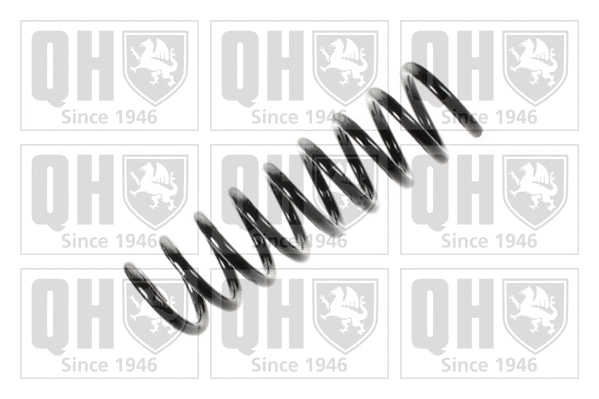 Suspension Spring (QCS5935)