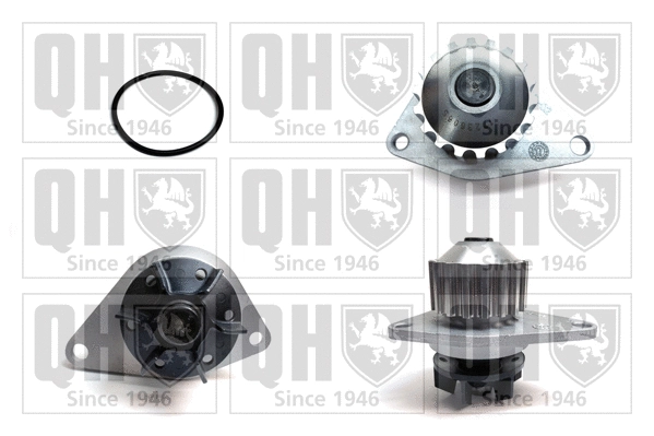 Water Pump, engine cooling (QCP3544)