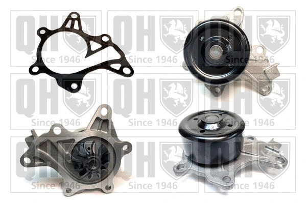 Water Pump, engine cooling (QCP3979)