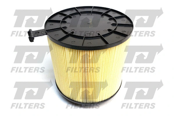 Air Filter (QFA0195)