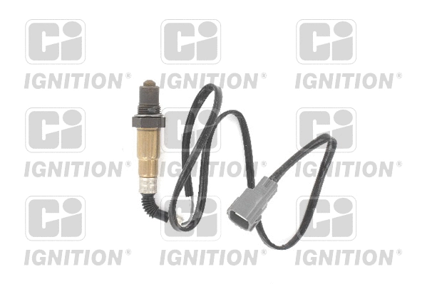 Lambda Sensor (XLOS1597)