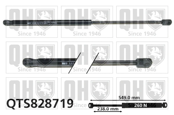 Gas Spring, boot/cargo area (QTS828719)
