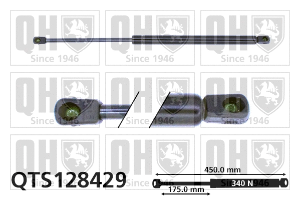 Gas Spring, boot/cargo area (QTS128429)