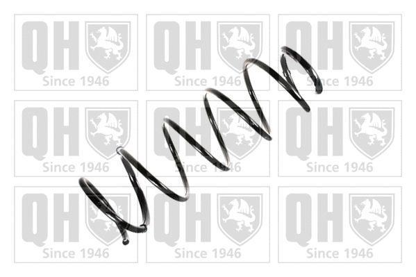 Suspension Spring (QCS5784)