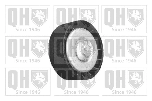 Deflection/Guide Pulley, V-ribbed belt (QTA1153)