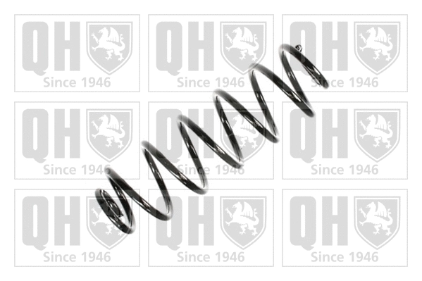 Suspension Spring (QCS6631)