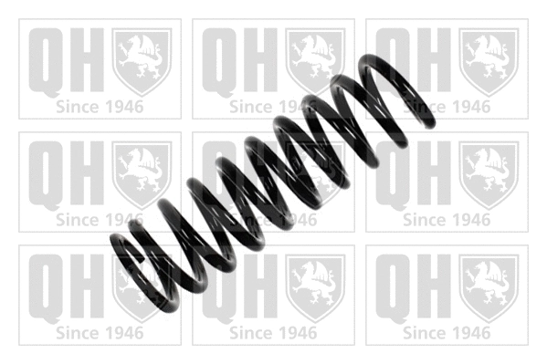 Suspension Spring (QCS6731)