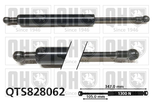 Gas Spring, boot/cargo area (QTS828062)