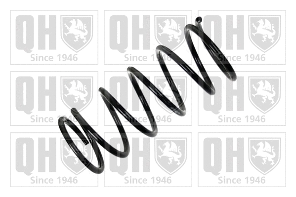 Suspension Spring (QCS5761)