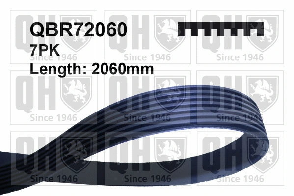 V-Ribbed Belt (QBR72060)