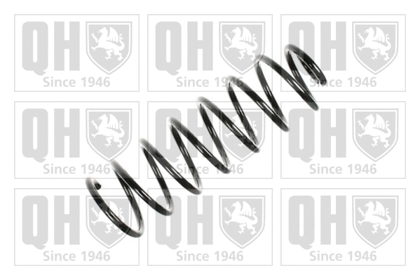 Suspension Spring (QCS6095)