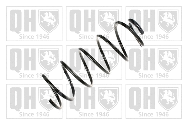 Suspension Spring (QCS7546)