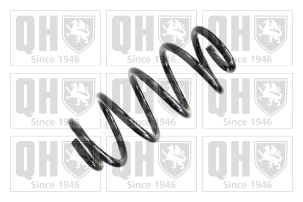 Suspension Spring (QCS6729)