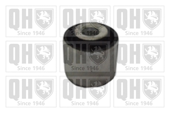 Mounting, control/trailing arm (EMS8487)