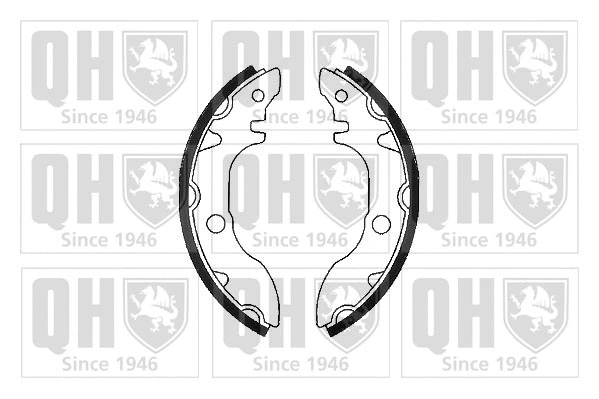 Brake Shoe Set (BS749)