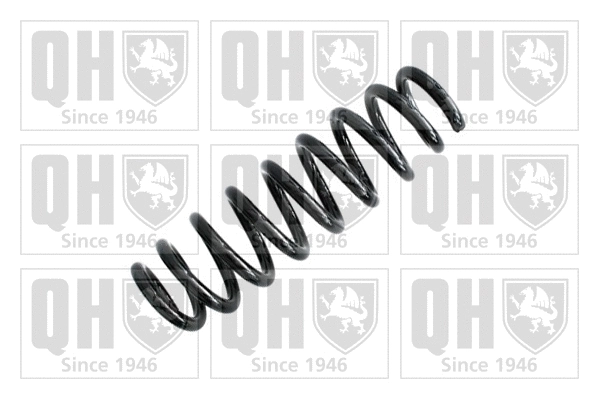 Suspension Spring (QCS5066)
