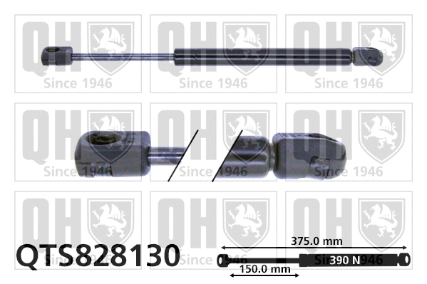 Gas Spring, boot/cargo area (QTS828130)