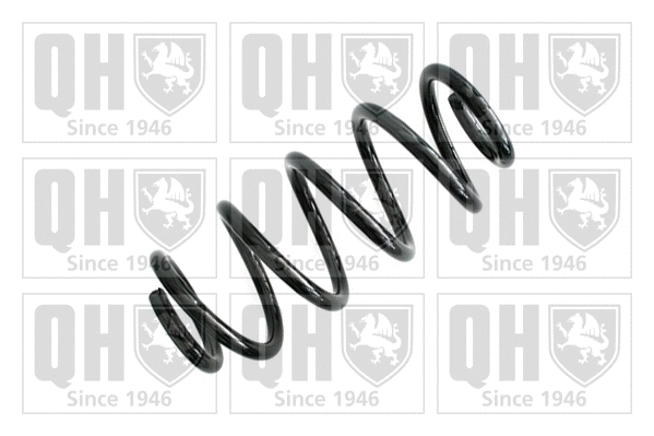 Suspension Spring (QCS6255)