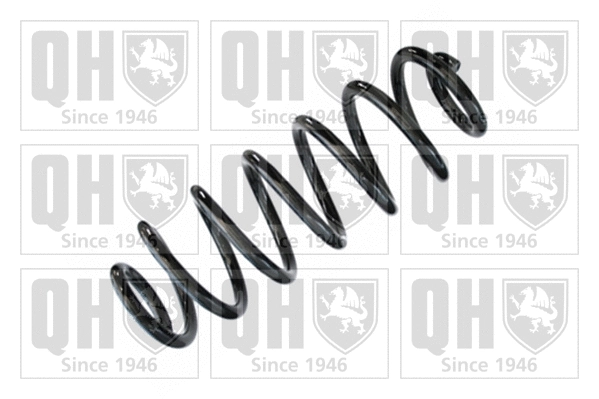 Suspension Spring (QCS7555)