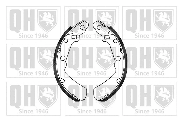 Brake Shoe Set (BS1070)