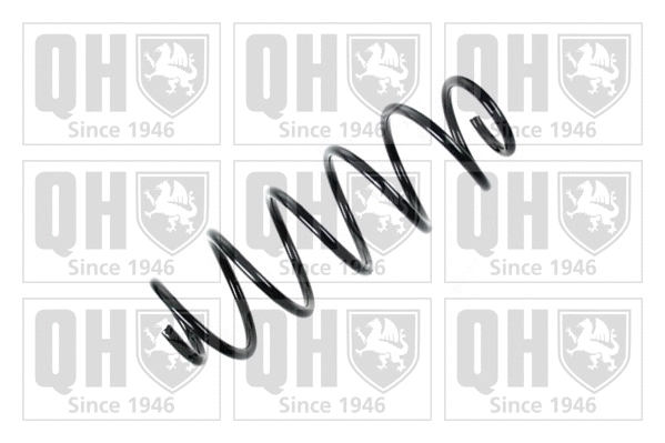Suspension Spring (QCS7338)