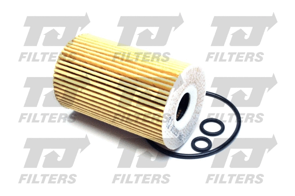 Oil Filter (QFL0238)